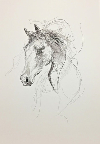 Original horse animal ink - original,