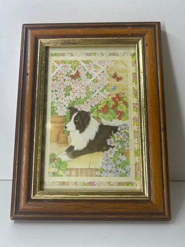 Framed 5 illustrated - framed, 5.5"