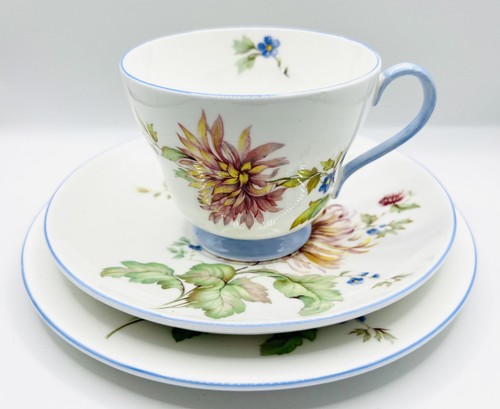 Shelley chrysanthemum trio - chrysanthemum,