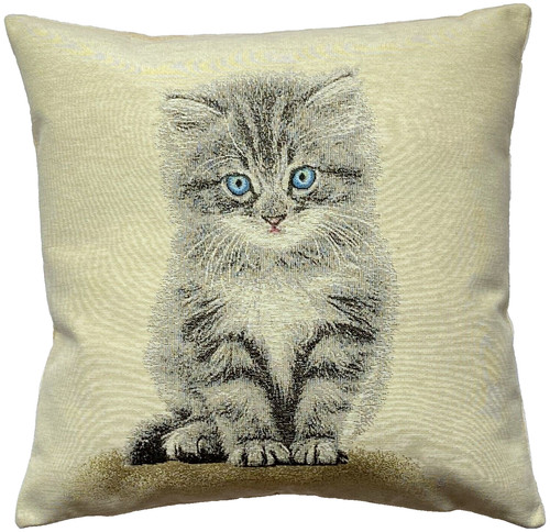 Cute kitten french hand - cute, kitten,