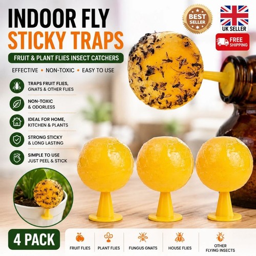 Pack indoor fly sticky - 4,