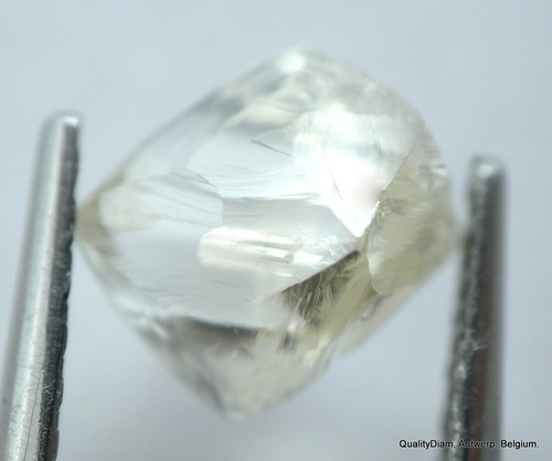 Carat vvs2 natural - i,