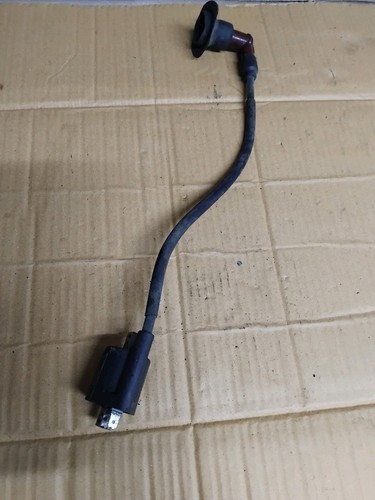 Yamaha cw50 coil - coil, genuine