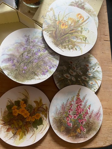 Vintage kelsey drinks coasters - drinks,