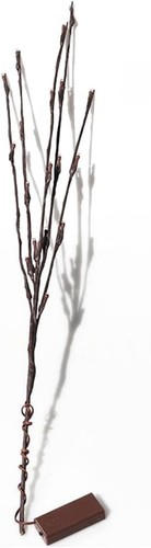 Pack led branch - pack,