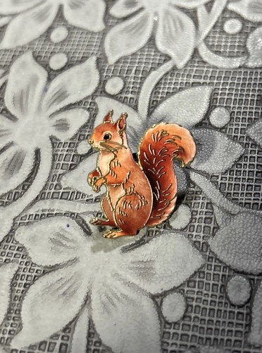 Red squirrel woodland wild - red,