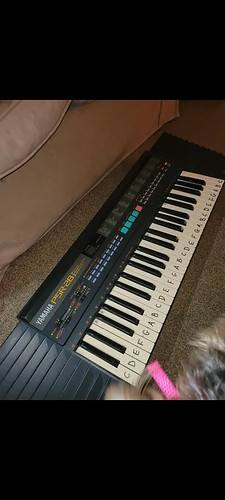 Yamaha portatone psr - yamaha,