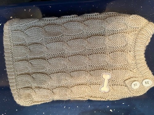 Puppy dog jumper - dog, warm