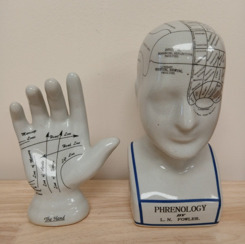 Vintage phrenology head - vintage,