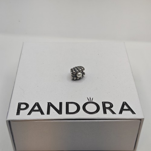 Genuine pandora one - one, kind
