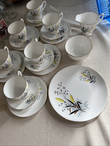 Vintage windsor china set - vintage,