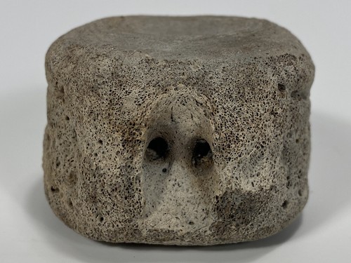 Miocene nomini cliffs - miocene,