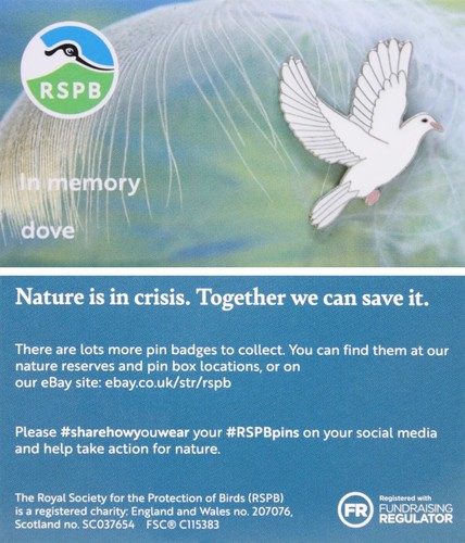 Rspb pin badge special - badge,