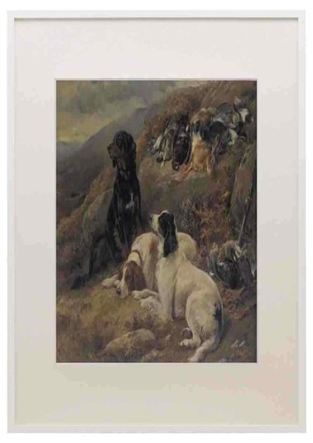 Heywood hardy setters - heywood, with