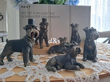 Next Wilson Schnauzer Puppy