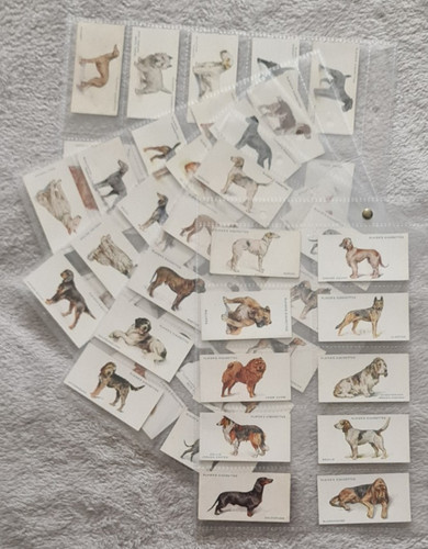 Dogs wardle john players - john,