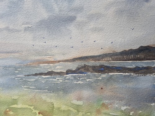 Shetland original watercolour - original,