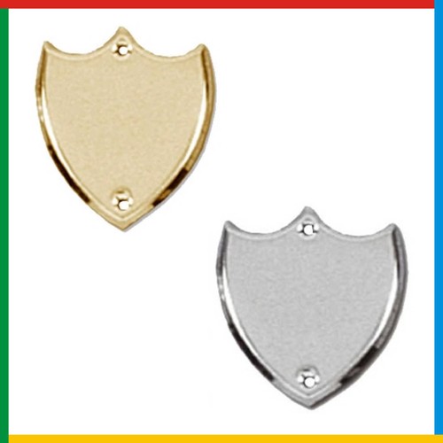Engraved trophy plaque - trophy,