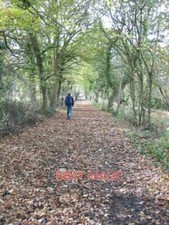 PHOTO  PONTESBURY WALKING THE