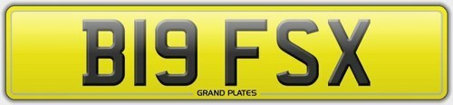 Big reg b19 fsx - reg,