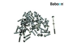 Bolts and Nuts Triumph Tiger