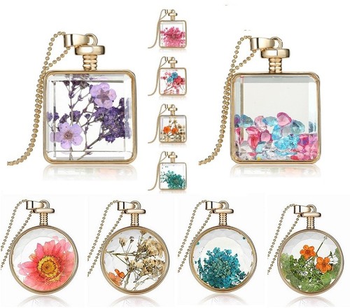 Dried flower round square - dried,