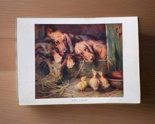 Antique 1915 Sleeping Pet