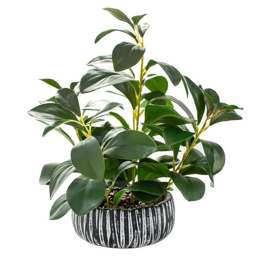 Lifelike fake succulent with - fake,