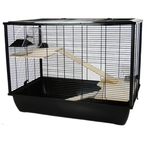 Rat hamster mouse - mouse, large