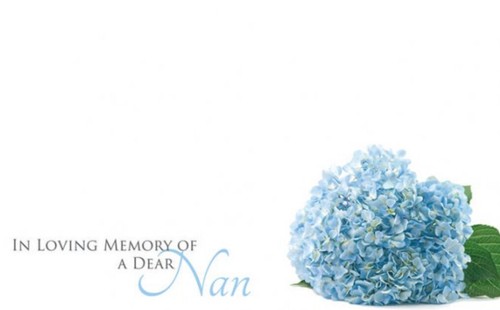 Shredastic nan in loving - nan,