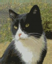 Black & White Cat 2 Counted Cross Stitch Kit 9.8" x 8" 14 count