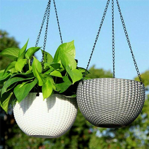 Hanging baskets flower - hanging,
