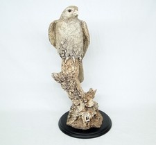 Wildtrack Wildlife art