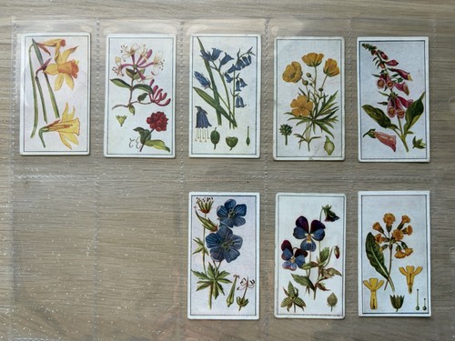 Robinson cigarette cards - robinson,