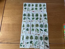 Typhoo Tea Cards 1937 Trees Of