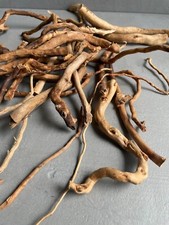 Mini AZALEA REDMOOR ROOTS | Terrarium Supplies | Decorative Roots | Aquarium