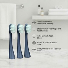 Pure Oral Sonic Replacement