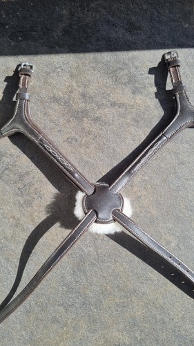 Shires pony size grackle - size,