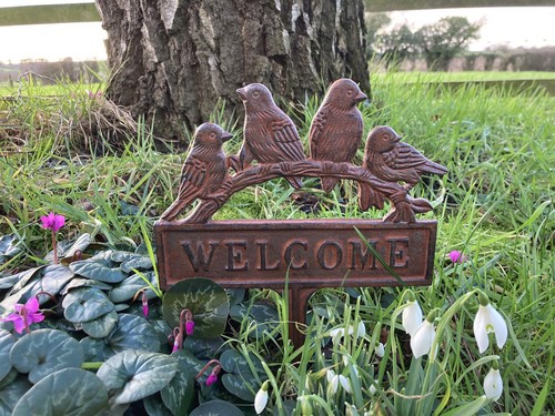 Cast iron welcome - cast, house