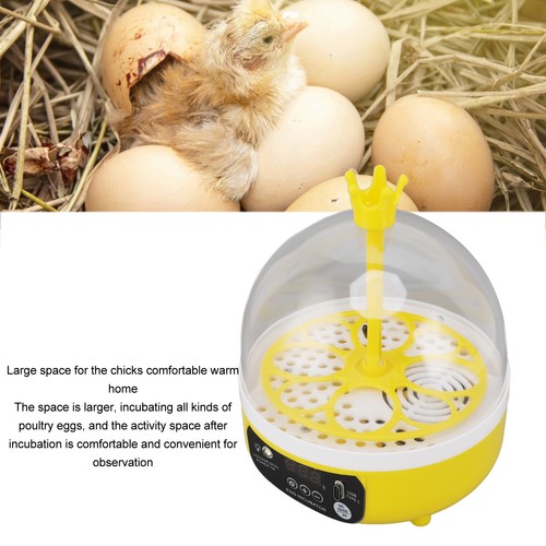 Mini egg incubator for - mini,