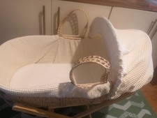 Clair De Lune Palm Moses