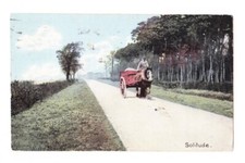 1916 BRITISH Antique Old Horse