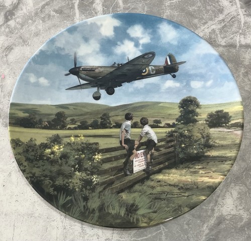 Royal doulton spitfire coming - doulton,