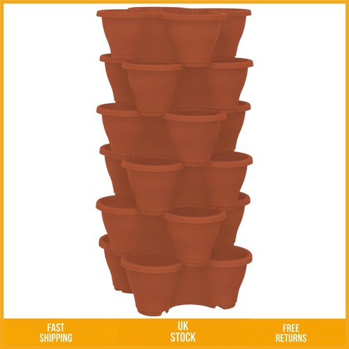 Vibrant vertical strawberry - vertical,