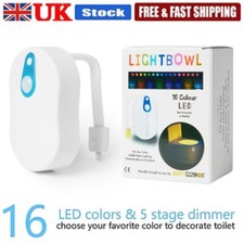 Toilet Bowl Night New 2024