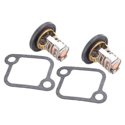 Premium thermostat with - 2x,