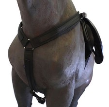 Official Libbys ENDURANCE