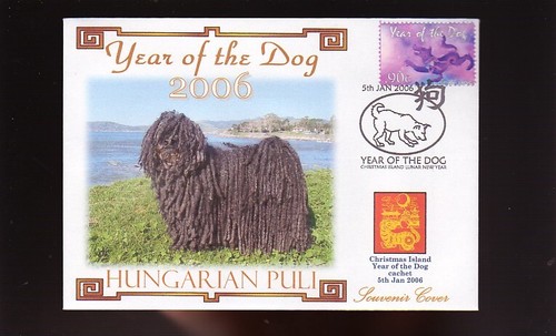 Hungarian puli 2006 year - year, of