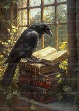 Reading Raven Crow Bird Gothic