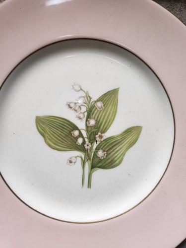 Royal worcester hand painted - royal,